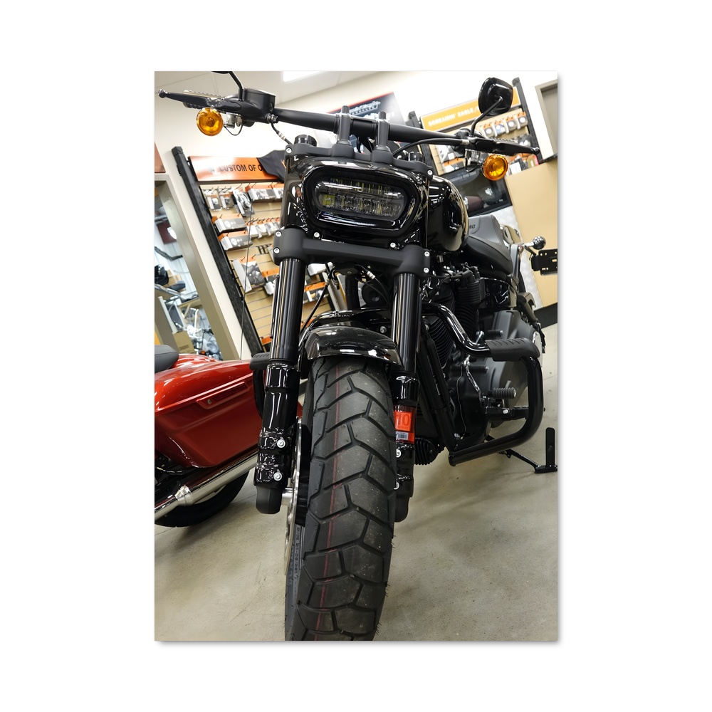 Poster Fat bob magnifique – affiche Harley-Davidson